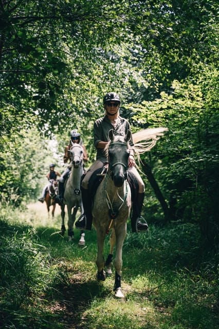 Lake Como: Horseback Riding Tour to an Ancient Village - Who This Tour Is Ideal For