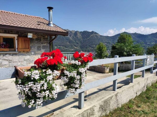 Lake Como: Ortanella Guided Hike With Lunch at Agrofarm - Discover Local Producers