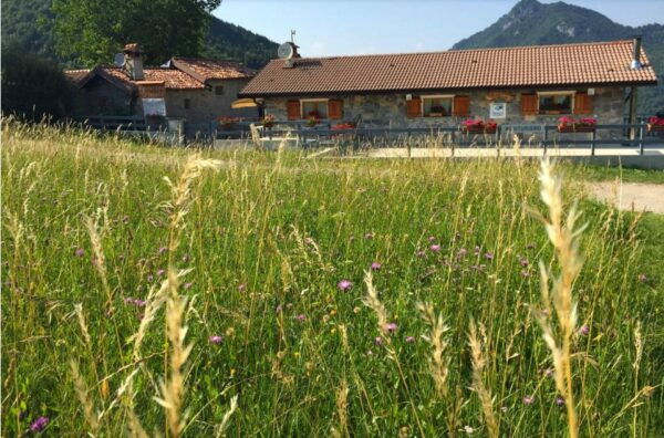 Lake Como: Ortanella Guided Hike With Lunch at Agrofarm - Nature Lunch Inclusions