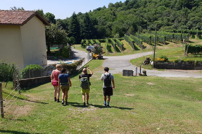 Lake Como Rebels: Adventure Day in Spina Verde Regional Park - Guided Adventure Experience