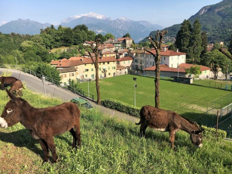 Lake Como to Lake Lugano: E-Bike Three Panoramic Lakes - Good To Know
