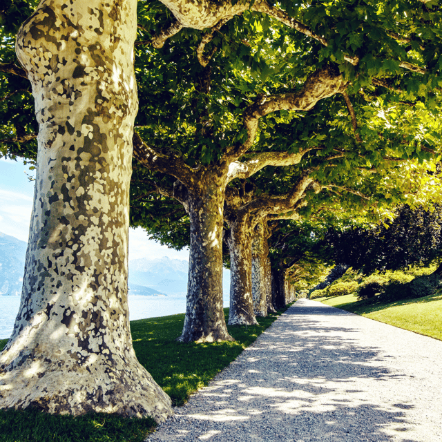 Lake Como: Villa Melzi Garden Entry Ticket With Ferries - Customer Reviews and Ratings