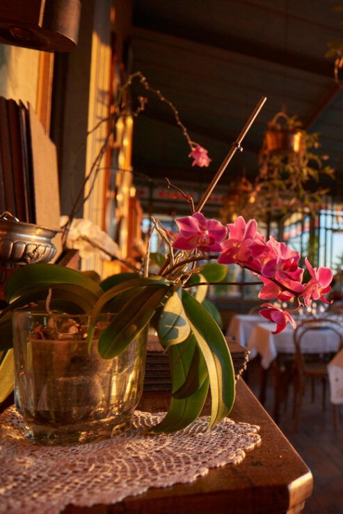 Lake Como Wine With a View - Experience Overview