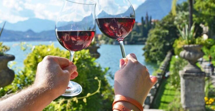 Lake Como: Winery Tour With Wine Tasting - Experience Highlights During Wine Tasting