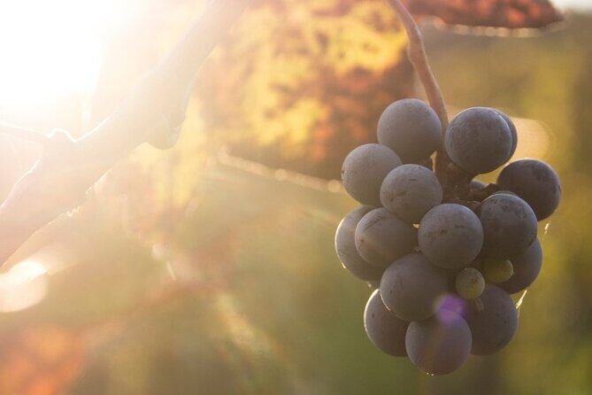 Lake Country Casual Experience - Good To Know