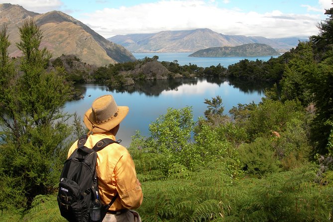 Lake Cruise & Mou Waho Island Nature Walk - Overview of the Experience