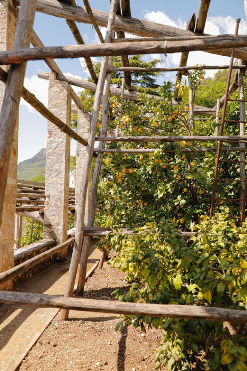 Lake Cruise (visit Torri & Gargnano) - Good To Know