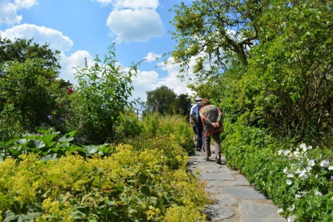 Lake District: Beatrix Potter Half-Day Tour - Full Description of the Tour