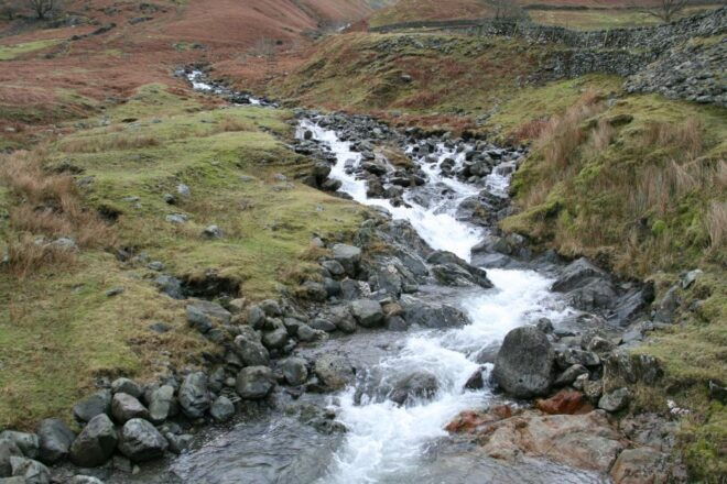 Lake District: Half-Day 8 Lakes Afternoon Tour - Highlights