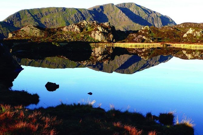 Lake District Trip With Cream Tea at Lindeth Howe & Cruise on Lake Windermere - Date and Travelers