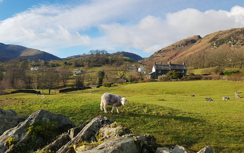 Lake District with Windermere Lake Cruise & Railway Ride Day Tour - Is the price worth it?