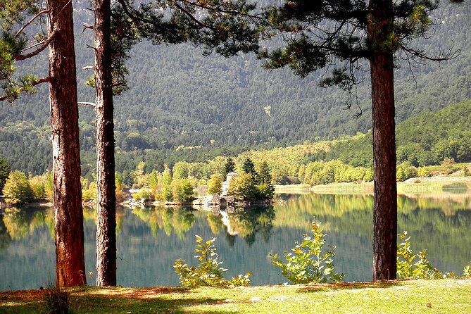 Lake Doxa Taxi Private Ride - Stroller and Service Animal Policy