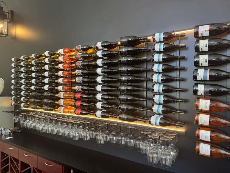 Lake Dunstan Trail eBike Adventure (inc Shuttle) - Final Thoughts