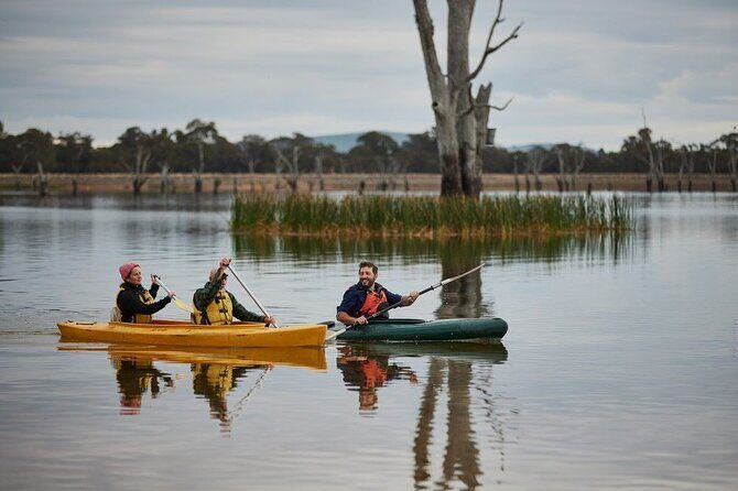 Lake Fyans Canoeing Activity - What to Expect During the Tour