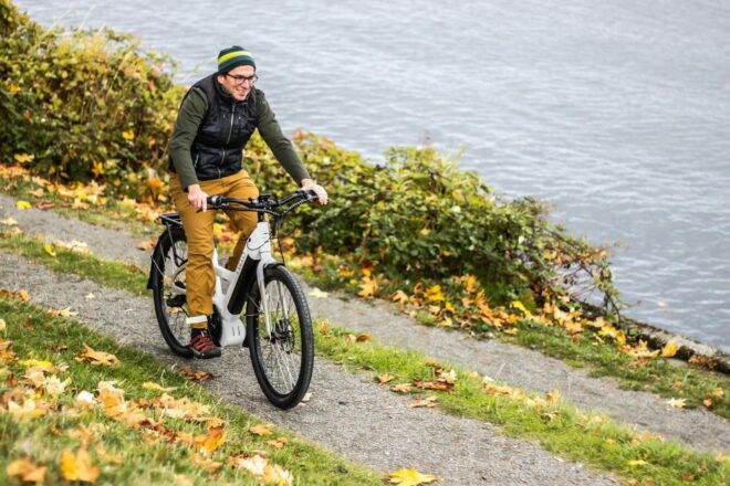 Lake Garda: E-Bike Private Full-Day Tour - Activity Description