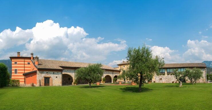 Lake Garda: Garda Hills Wine Tour and Tasting - Review Summary