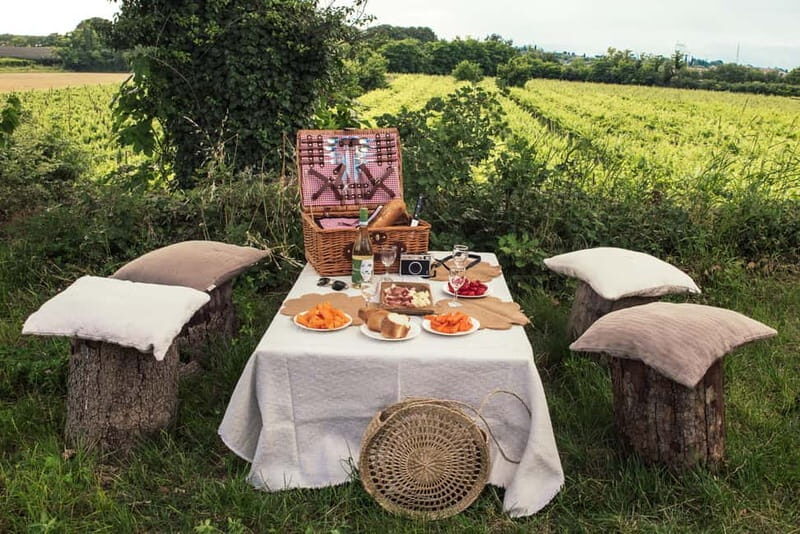 Lake Garda: Pic Nic in the vineyard with wine tasting - Good To Know