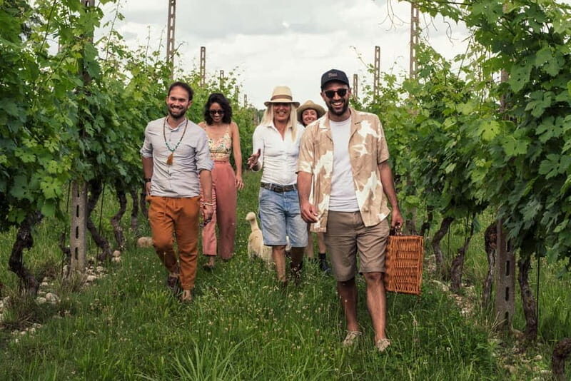 Lake Garda: Pic Nic in the vineyard with wine tasting - Who should consider this experience?