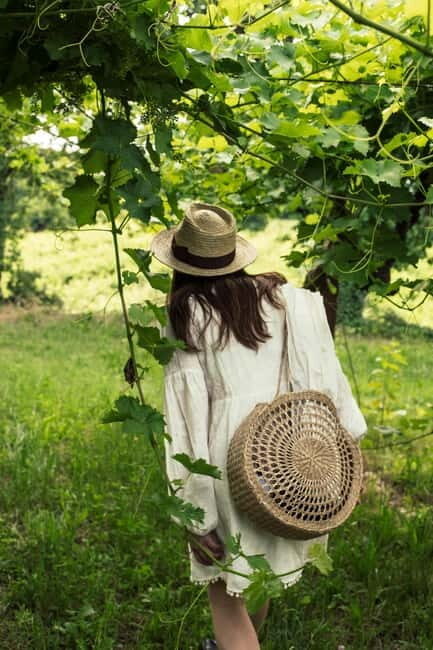 Lake Garda: Pic Nic in the vineyard with wine tasting - FAQ