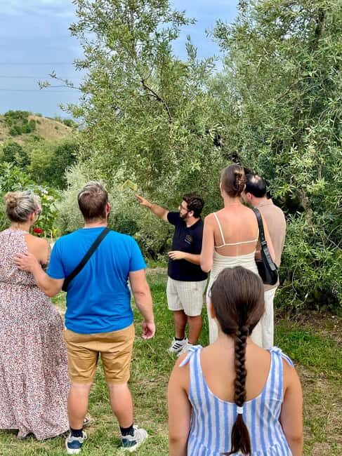 Lake Garda: Tour with 4 Olive Oil Tasting & Local Food - Discovering Lake Garda’s Olive Oil Heritage
