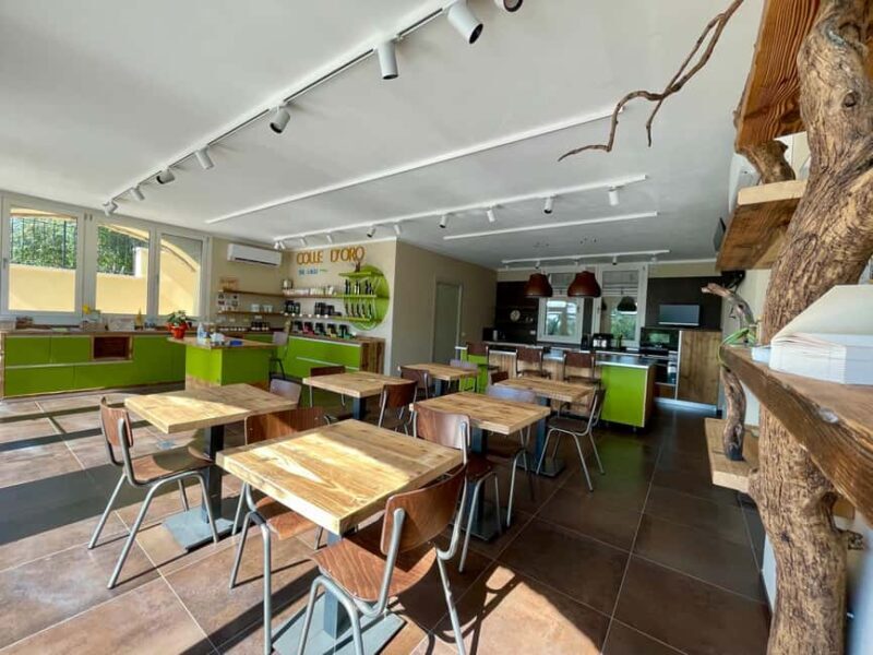 Lake Garda: Tour with 4 Olive Oil Tasting & Local Food - The Authentic Charm of Family-Run Operations