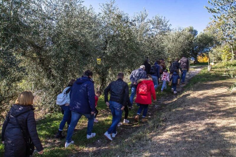 Lake Garda: Tour with 4 Olive Oil Tasting & Local Food - Final Thoughts