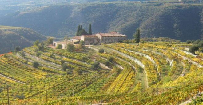 Lake Garda: Valpolicella Wine and Food Tour - Frequently Asked Questions