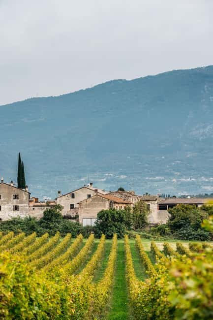 LAKE GARDA: VINEYARD AND WINERY TOUR - FAQs