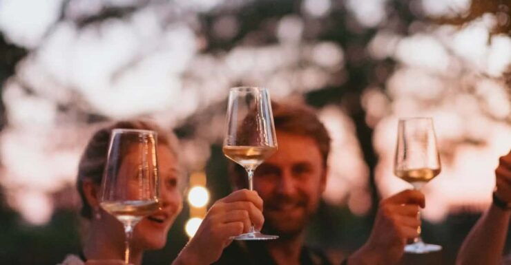 Lake Garda: Vineyard Tour and Tasting on the Hills - Pricing and Reservations