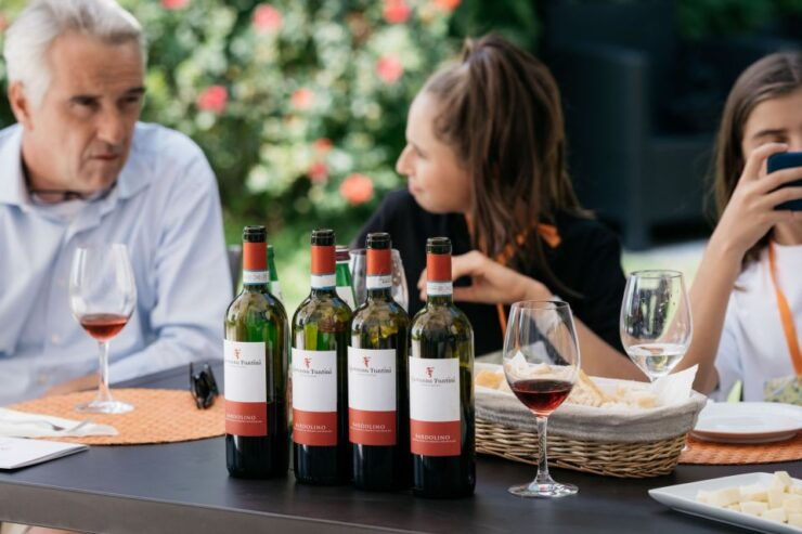Lake Garda: Vineyards Tour and Wine Tasting - Experience Highlights
