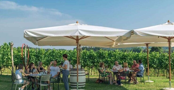 Lake Garda: Wine and Food Tastings in the Vineyards - Activity Details