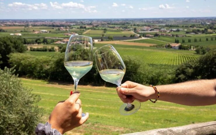Lake Garda: Wine & Local Products Tasting With Fiat Topolino - Tasting Details