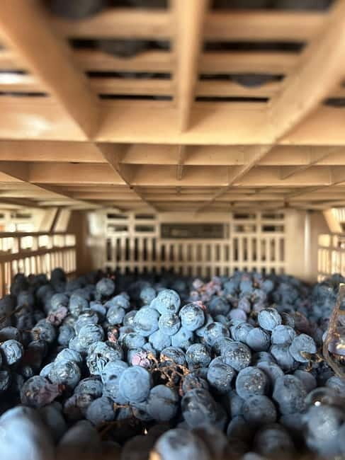 Lake Garda: Wine Tasting and Myths Tour with Local Snacks - Wrapping Up