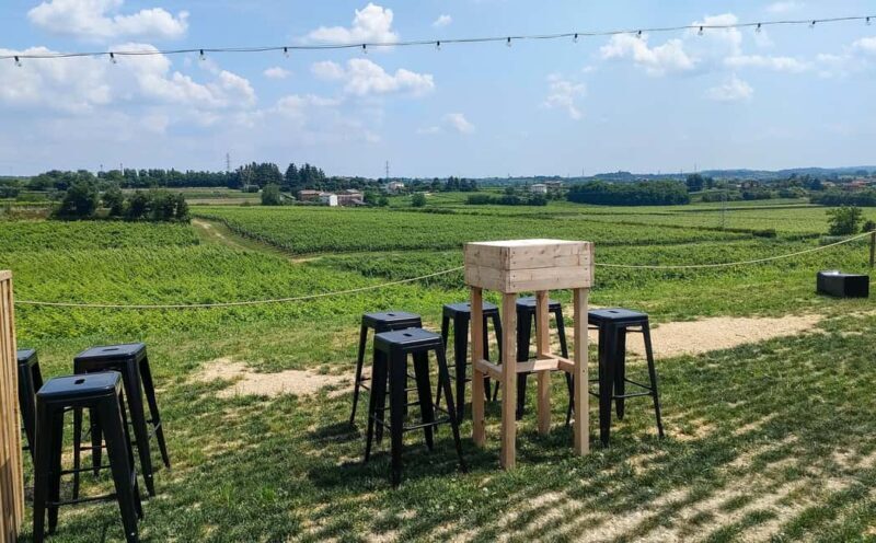 Lake Garda: Wine Tasting with Panoramic View - An Introduction to Lake Garda’s Wine Tasting Tour