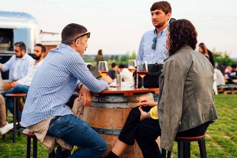 Lake Garda: Wine Tasting with Panoramic View - Final Thoughts