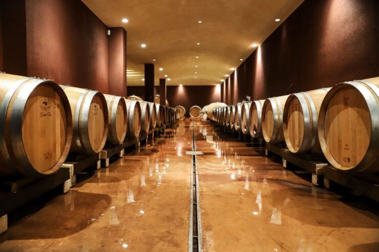 Lake Garda: Wine Tour and Tasting Experience in Bardolino - Activity Details