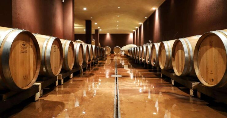 Lake Garda: Wine Tour and Tasting Experience in Bardolino - Wine Tasting Experience