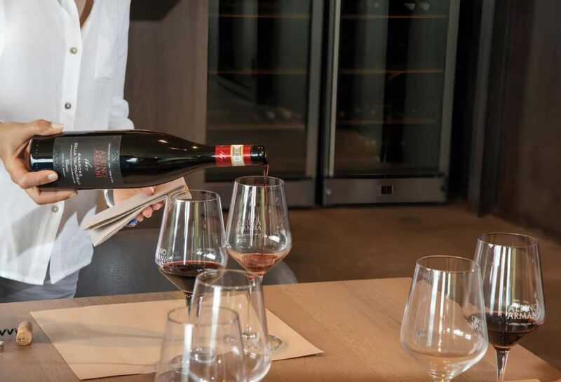 Lake Garda: Winery Tour and Wine Tasting in Valpolicella - The Overall Value