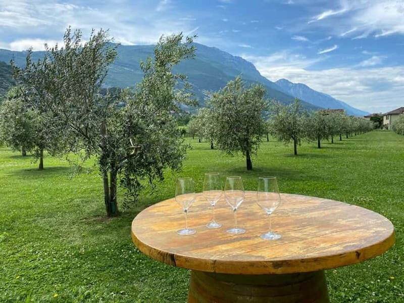 Lake Garda: Winery Visit with Wine and Olive Oil Tasting - Exploring the Experience in Detail