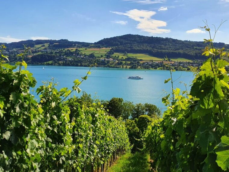 Lake Hallwil: Round Trip and 1-Day Ticket for Lake Hallwil - Wheelchair Accessibility