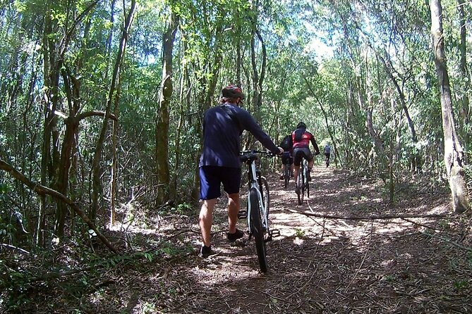 Lake Itaipu Bike Experience: Ride Along the Banks of the Lake - Tour Details