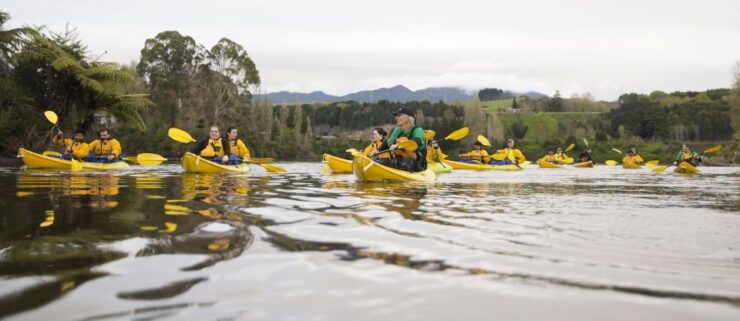 Lake Karapiro: Evening Kayak Glowworm Tour - Highlights of the Magical Glowworm Experience