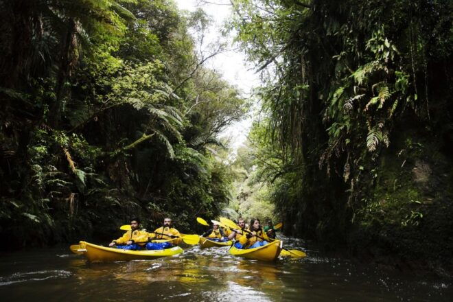 Lake Karapiro: Evening Kayak Glowworm Tour - Discover the Pristine Natural Surroundings
