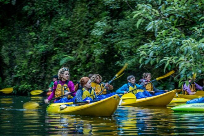 Lake Karapiro: Evening Kayak Glowworm Tour - Fascinating History of Lake Karapiro