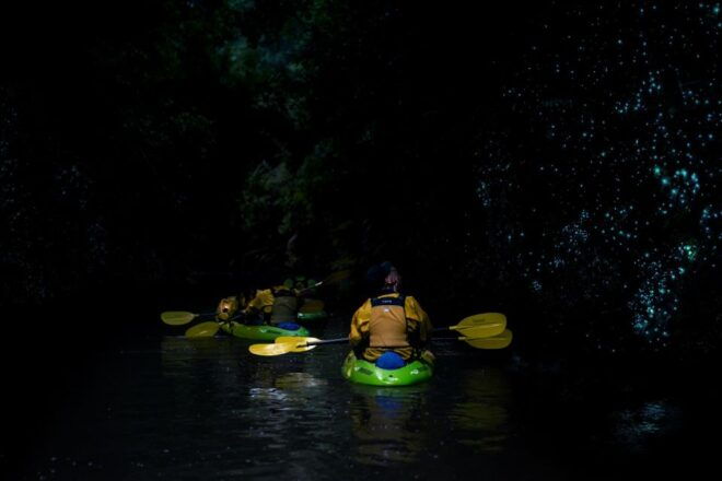 Lake Karapiro: Evening Kayak Glowworm Tour - Preparation and Important Information