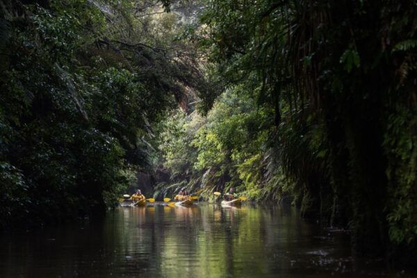 Lake Karapiro: Evening Kayak Glowworm Tour - Other Recommended Activities in the Area