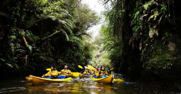 Lake Karapiro: Evening Kayak Glowworm Tour - Customer Reviews and Testimonials