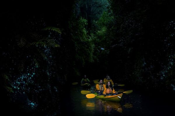 Lake Karapiro: Evening Kayak Glowworm Tour - Common Questions