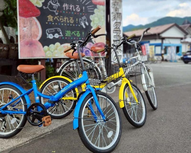 Lake Kawaguchi: 1-Day Bicycle Rental - The Flexibility of the Rental Experience