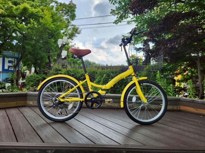 Lake Kawaguchi: 1-Day Bicycle Rental - The Experience in Practice